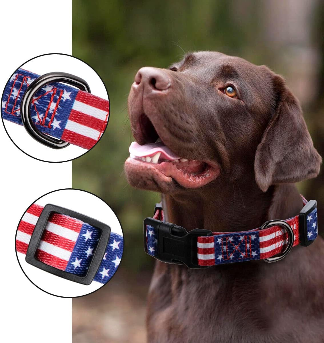 American Flag Dog Collar Independence Day Fourth of July the Great America Dog Collars M(Neck 13.1"-19", Width 3/4")